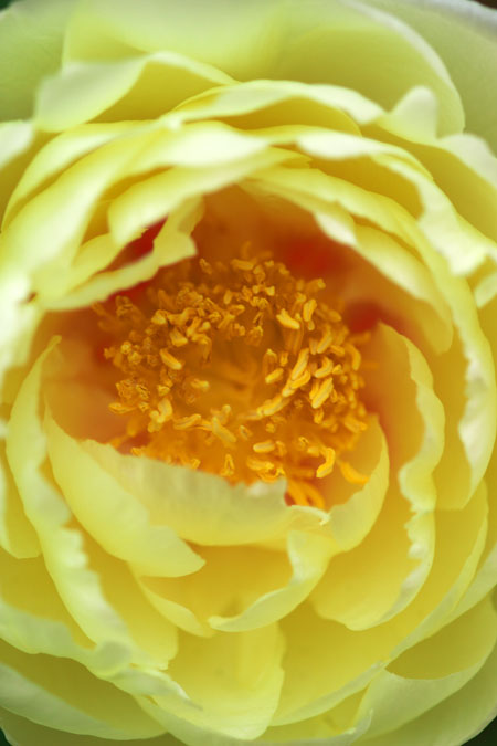 a0263109_22285.jpg