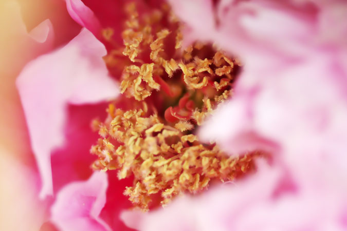a0263109_2233990.jpg