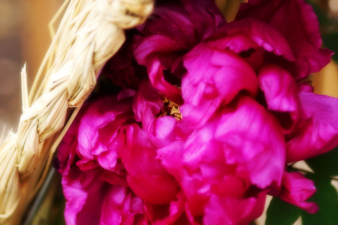 a0263109_2252057.jpg