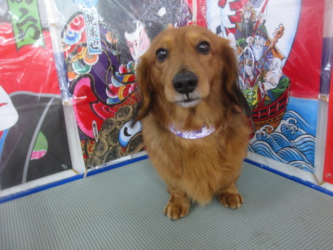 a0176220_17445608.jpg