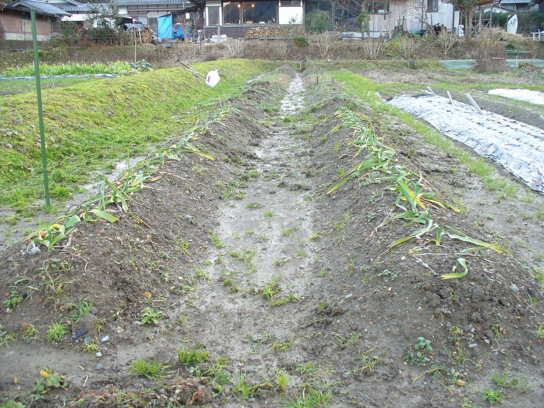 f0346527_22204456.jpg
