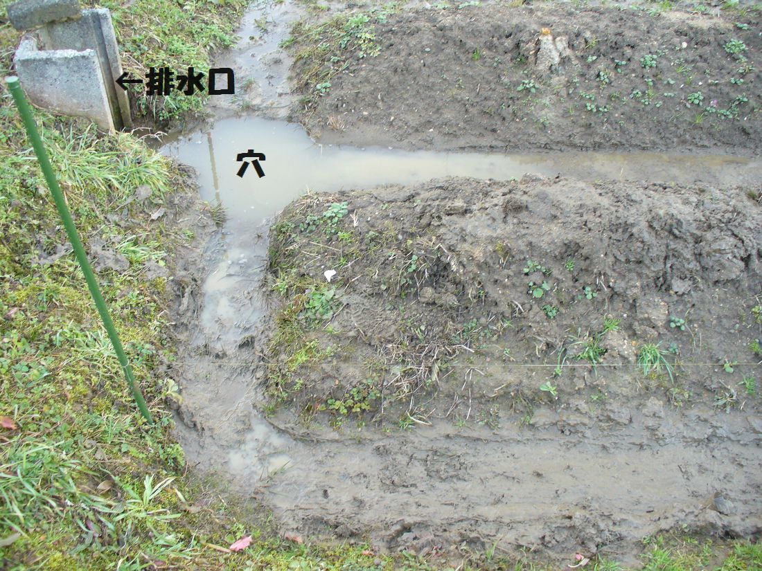 f0346527_222340100.jpg
