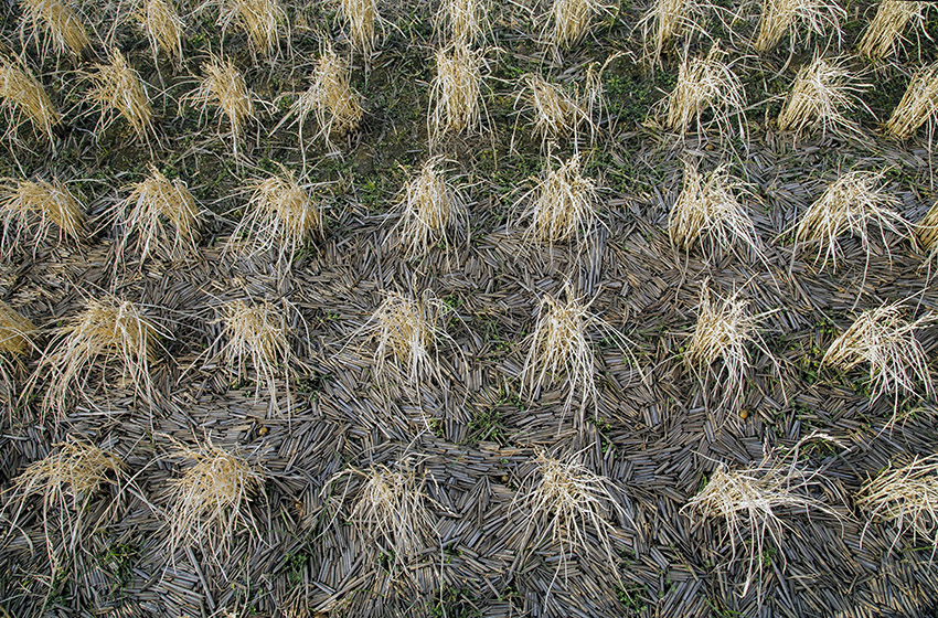 d0147530_81926.jpg