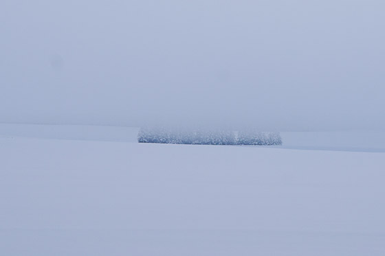 e0025030_22194065.jpg