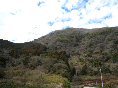 e0272335_2036309.jpg