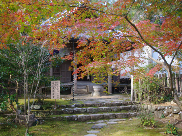 f0008935_540989.jpg
