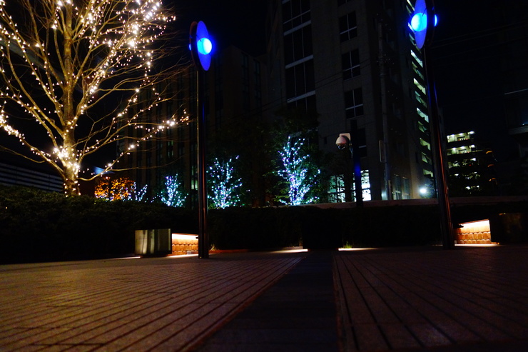 a0287336_21581255.jpg