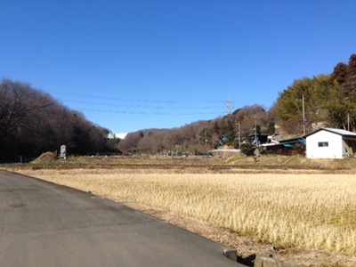 b0120541_2346489.jpg