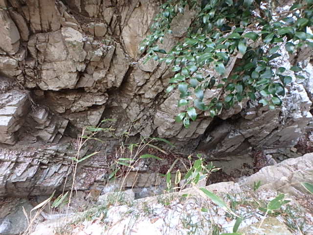 f0334143_1147263.jpg