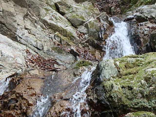 f0334143_11483198.jpg