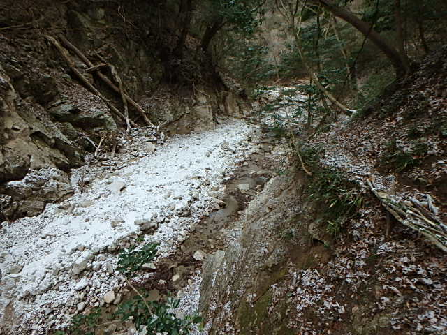 f0334143_1148417.jpg