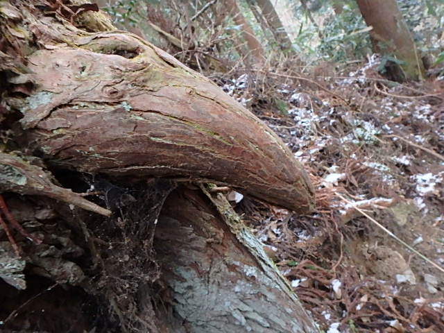 f0334143_11505668.jpg