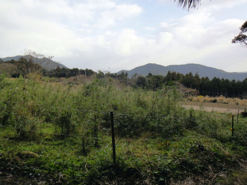 c0179351_20202168.jpg