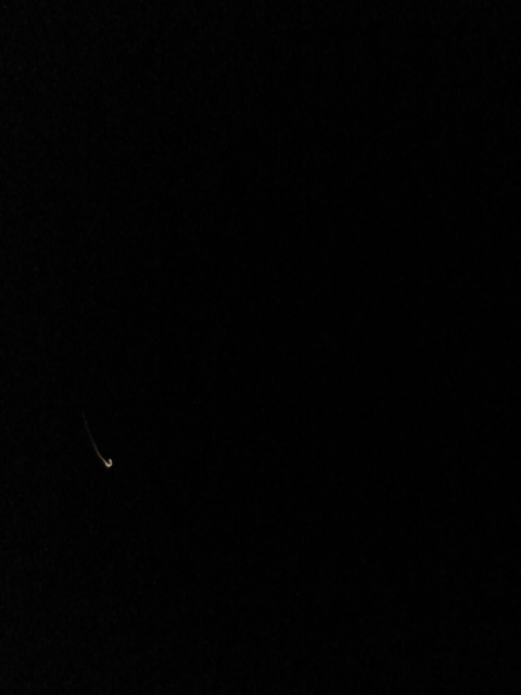 c0039153_5442155.jpg