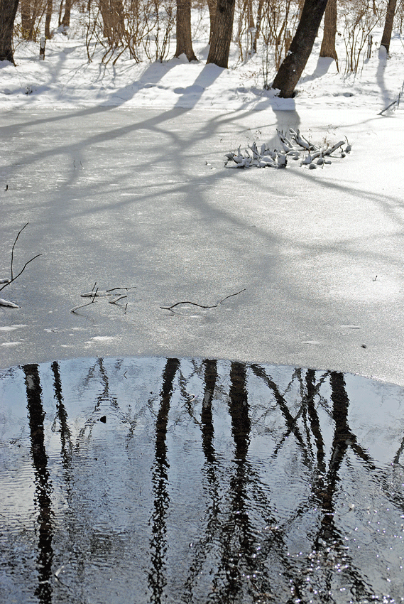 a0001354_22574557.gif