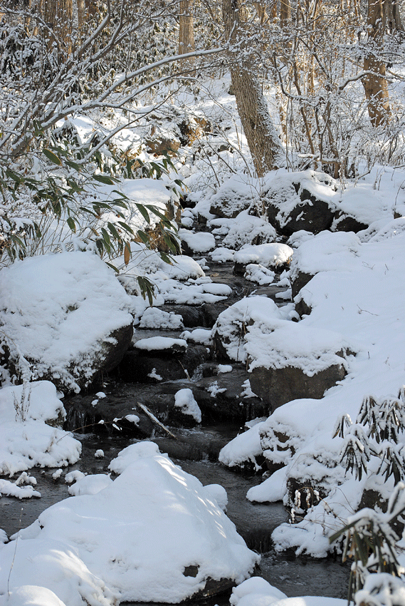 a0001354_2301796.gif