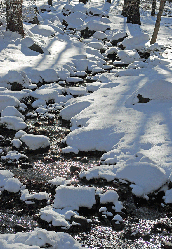 a0001354_2304840.gif