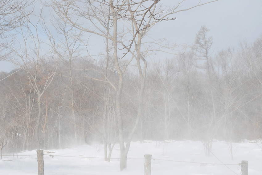 a0001354_2311199.gif