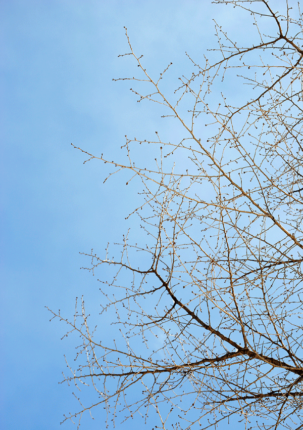 a0001354_23144649.gif