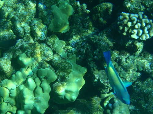 f0201657_2020681.jpg