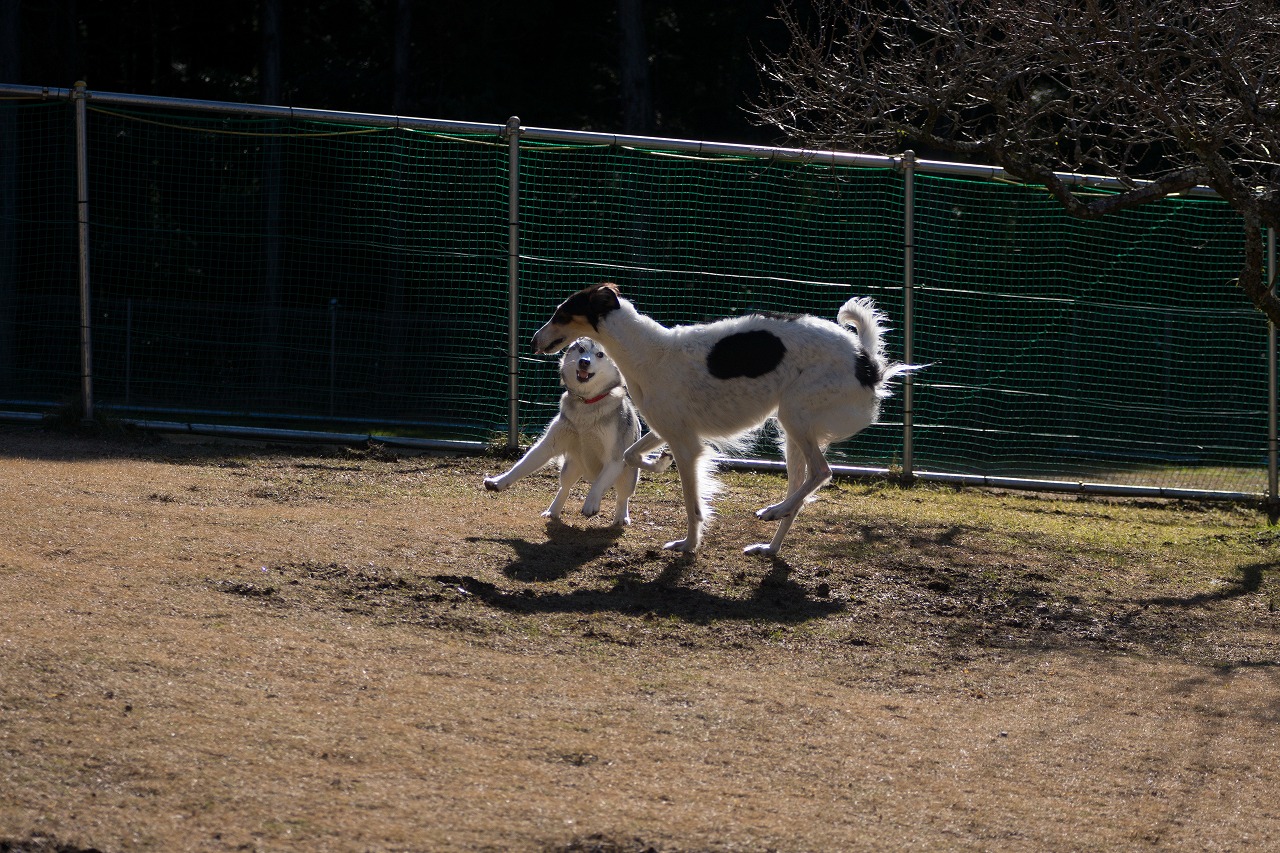 c0260264_1522956.jpg