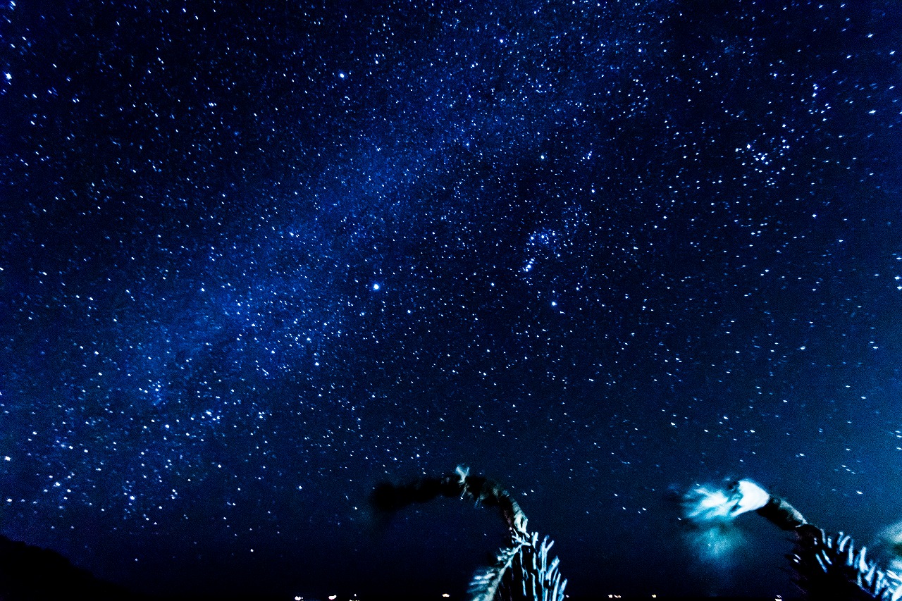 c0260264_934341.jpg