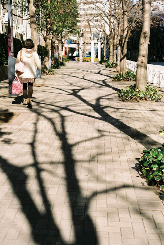 c0084666_21171447.jpg