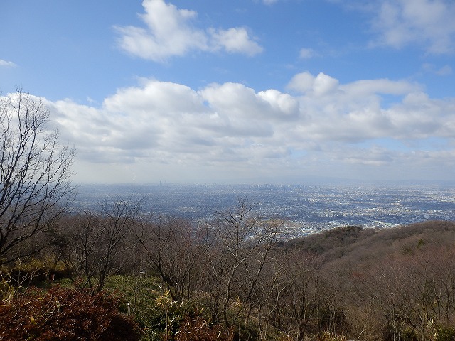 f0057070_2003472.jpg