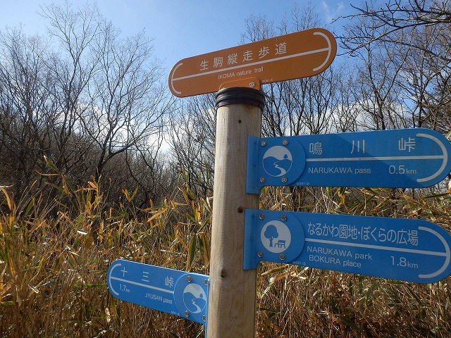 f0057070_2005358.jpg