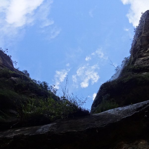 e0108979_01005957.jpg
