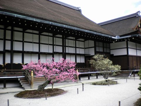 b0005281_1936854.jpg