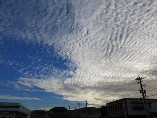 e0130185_1946455.jpg