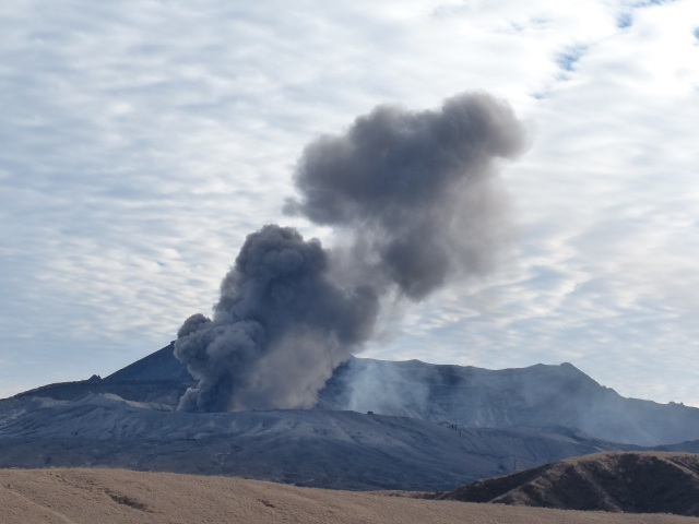 f0357487_2233094.jpg