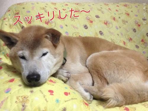 c0123890_2011493.jpg