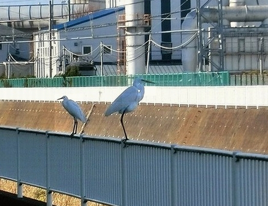 e0143690_10344747.jpg