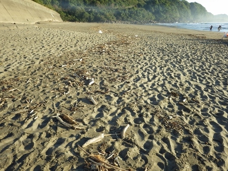 a0125598_20364851.jpg