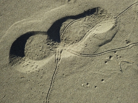 a0125598_20592654.jpg