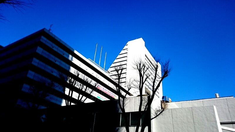 c0202101_015462.jpg