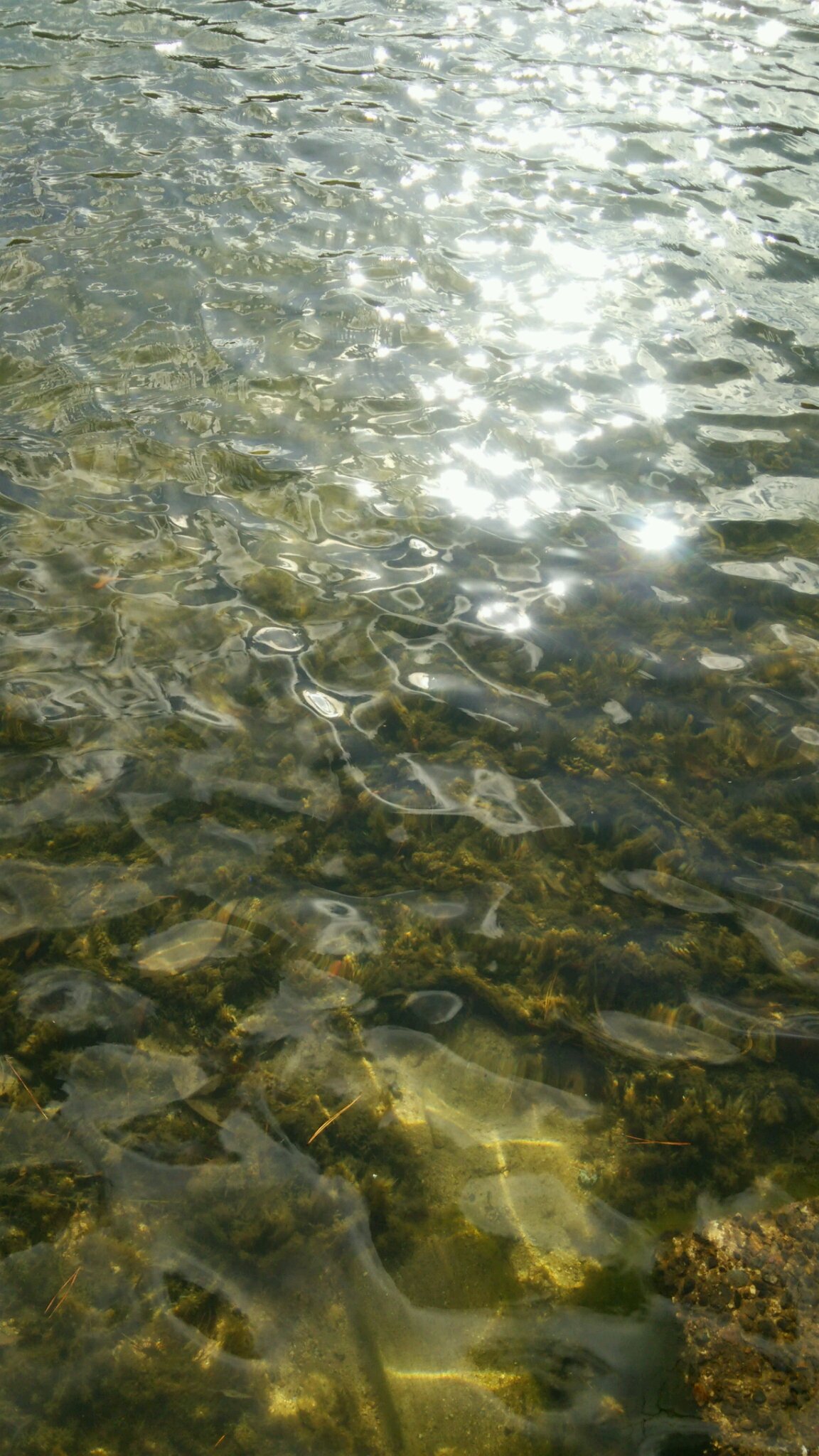f0127610_2151827.jpg
