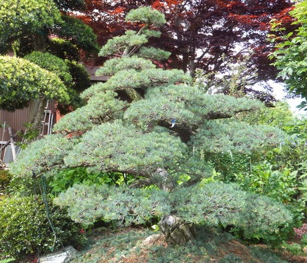 e0202111_20502769.jpg