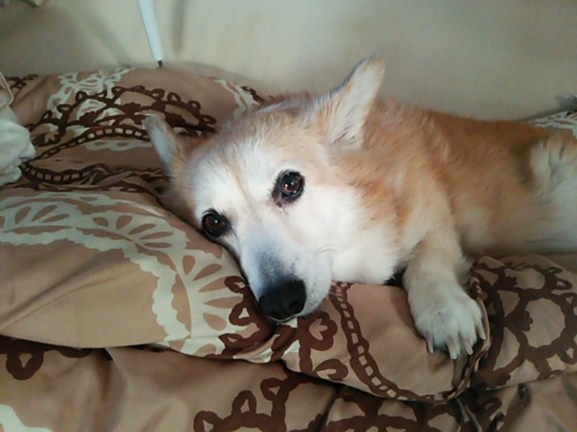 c0150520_22171331.jpg