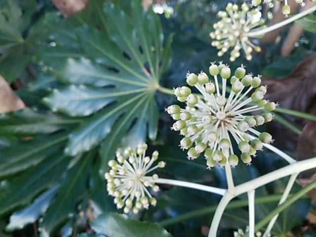 c0150520_2292860.jpg
