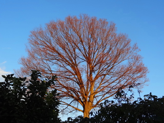 e0016828_12101727.jpg