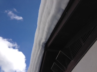 c0051529_21373468.jpg