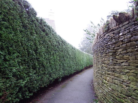 c0335229_22472470.jpg