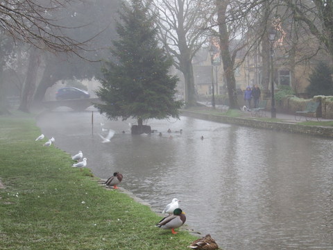 c0335229_2247897.jpg