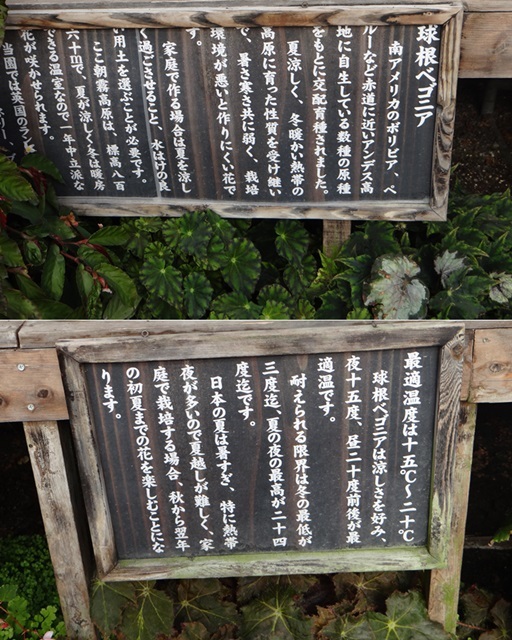 d0037233_09173870.jpg