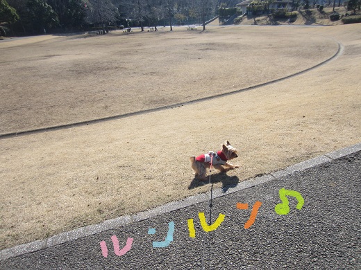 f0002833_14544310.jpg