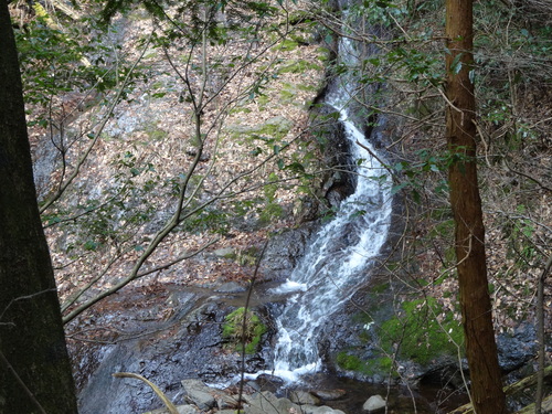 a0289641_8405095.jpg