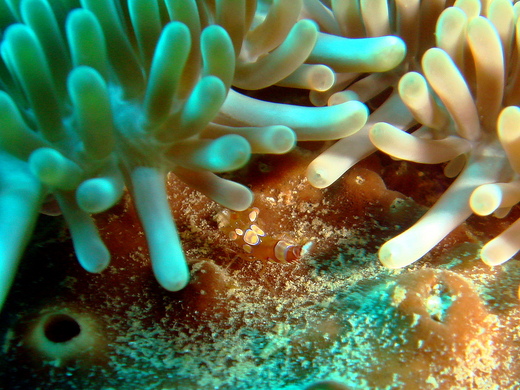 b0236647_1256274.jpg